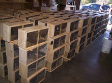 Load image into Gallery viewer, New Beekeeper Complete Bundle