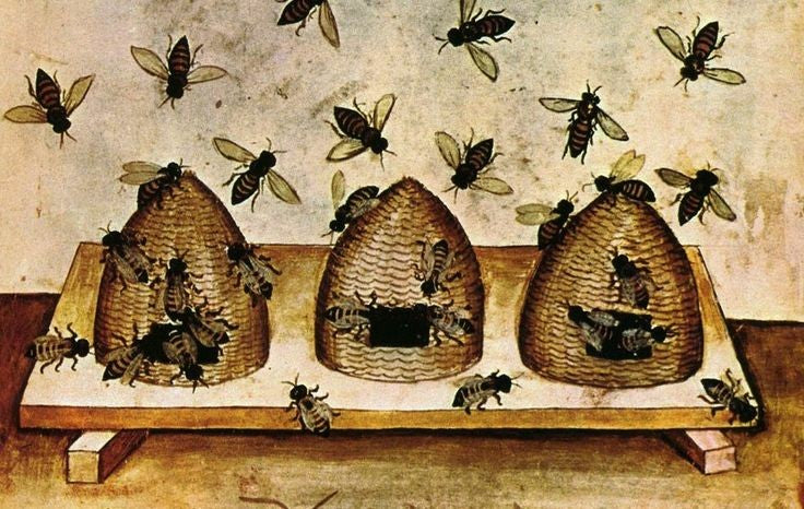 Hive Up