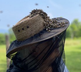 Beginner Beekeeping Class