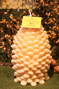 Jumbo Pine Cone