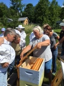 New Beekeeper Complete Bundle