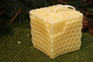 Bee on a Honey Comb Cube